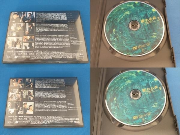 DVD 眠れる森 A Sleeping Forest DVD-BOX_画像3