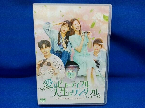 DVD 愛はビューティフル、人生はワンダフル DVD-BOX5