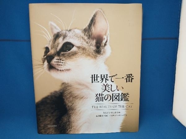 カバーゆるいです 世界で一番美しい猫の図鑑 タムシン・ピッケラル_画像1