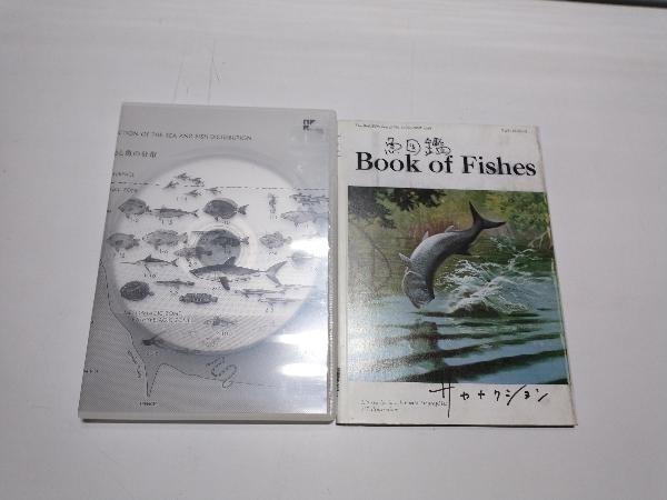 盤面傷あり サカナクション CD 魚図鑑_画像3