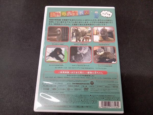 DVD NHKDVD 動物の赤ちゃん ドキドキ編_画像2
