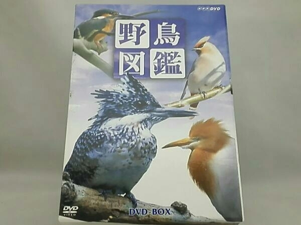 DVD； 野鳥図鑑 DVD-BOX_画像1