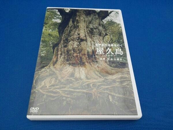 DVD 世界自然遺産 屋久島 ～四季・生命の輝き～_画像1