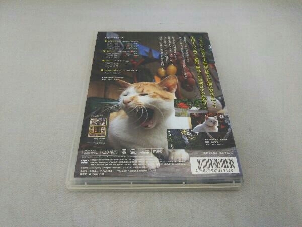 DVD のら猫ニッポン~長崎・尾道から江ノ島・函館まで~_画像3