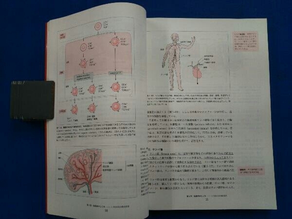 免疫検査学 窪田哲朗_画像4