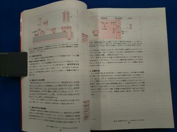 免疫検査学 窪田哲朗_画像6