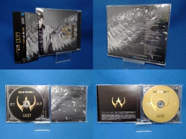 【CD】Gackt / BEST OF THE BEST vol.1 M/W(Blu-ray Disc付)_画像6