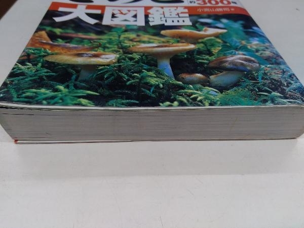 ki. . large illustrated reference book Komiyama ..