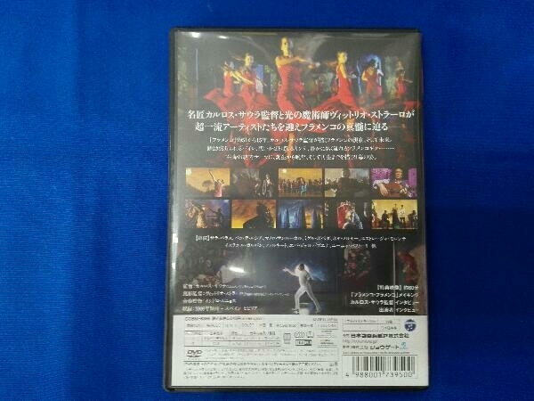 DVD フラメンコ・フラメンコの画像4