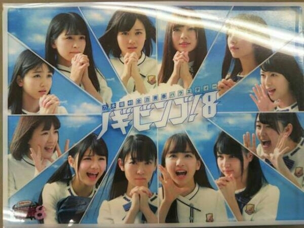 乃木坂46 DVD NOGIBINGO!8 DVD-BOX(初回生産限定版)_画像1