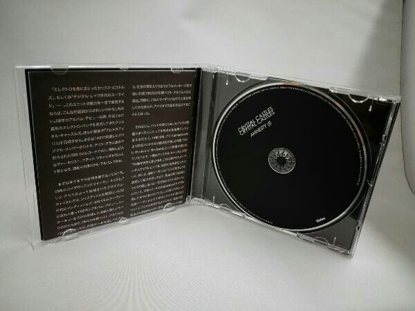 クリスタル・キャッスルズ CD アムネスティ(I)の画像3