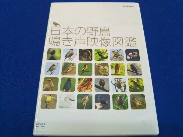 DVD 日本の野鳥 鳴き声映像図鑑_画像1