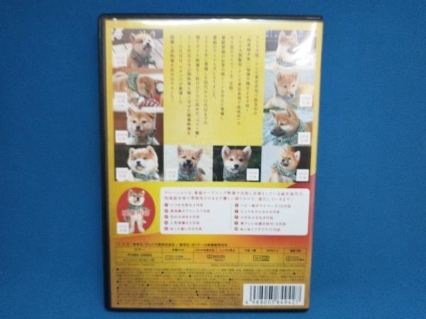 DVD 和風総本家 豆助っていいな。歴代ベスト(初代~11代目)_画像2