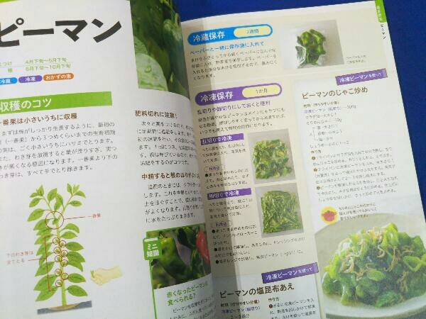  agriculture house direct . many ... vegetable. preservation . cooking Kato regular Akira 