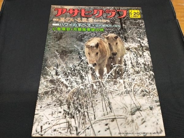 アサヒグラフ 1978 昭和53年 1.20 特集 馬のいる風景 北から南から 表紙/雪の山に放牧されている道産子 (函館市郊外)_画像1