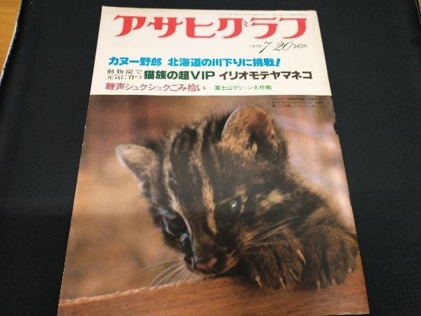  Asahi Graph 1979 Showa era 54 year 7.20 cat group. super VIPi rio moteyama cat cover /i rio moteyama cat. baby 