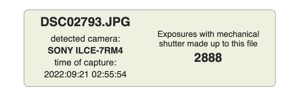 SONY ILCE-7RM4 α7R IV ソニー ボディ 超美品　シャッター回数2800回、α7III α7II 極上美品_画像2