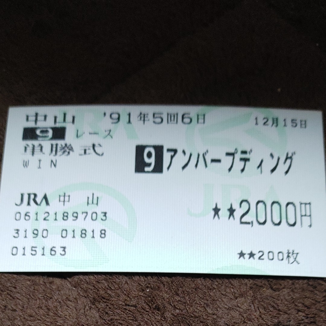 馬券　アンバープディング　単勝　中山9レース