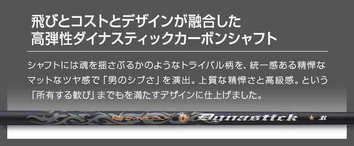 新品激安6本】ダイナゴルフ ダイナミクス アイアン 5I~PW 6本セット