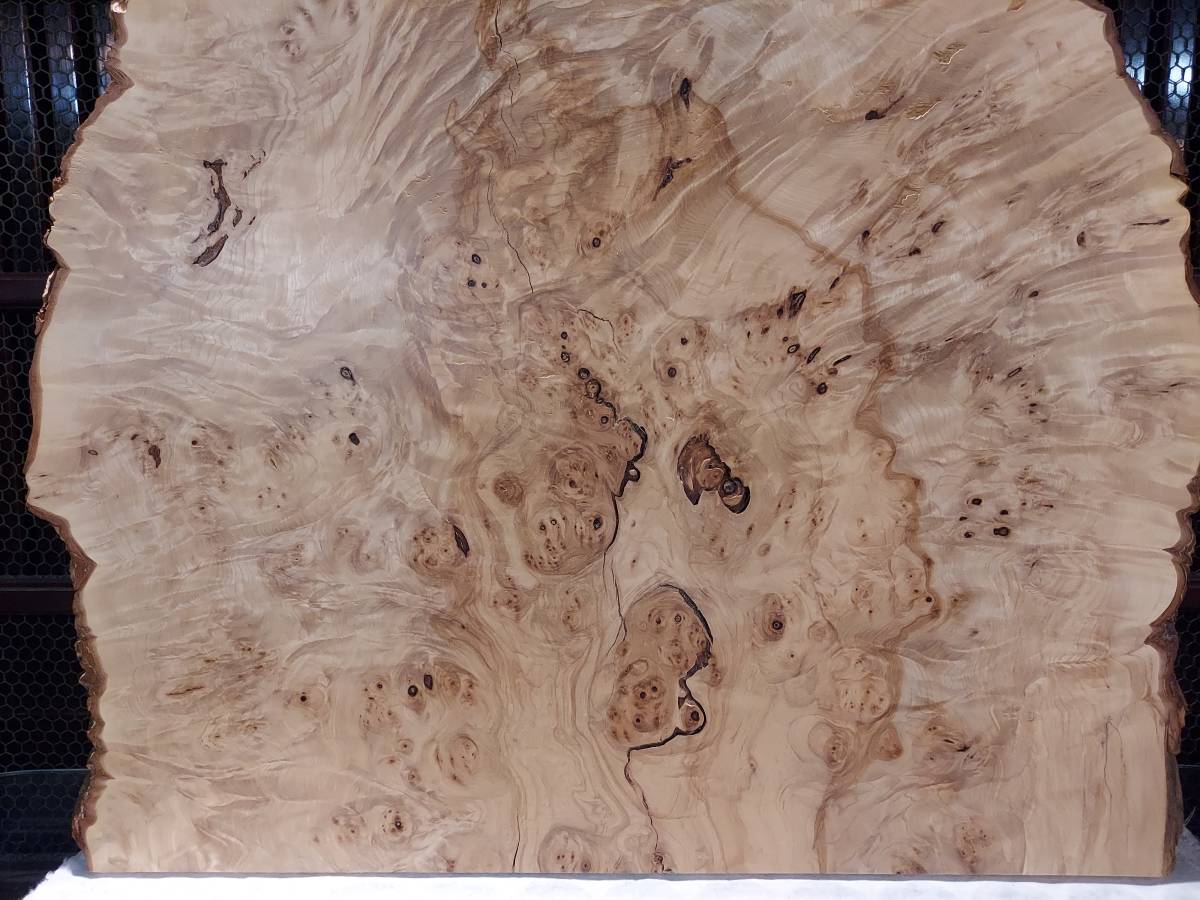K04-0928　銘木 天然木板 欅 無垢瘤杢 98cm×79cm×3cm 美品_画像4