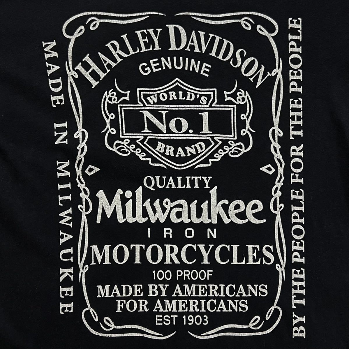スカルウィング【80s USA製 Harley-Davidson 両面プリント Tシャツ