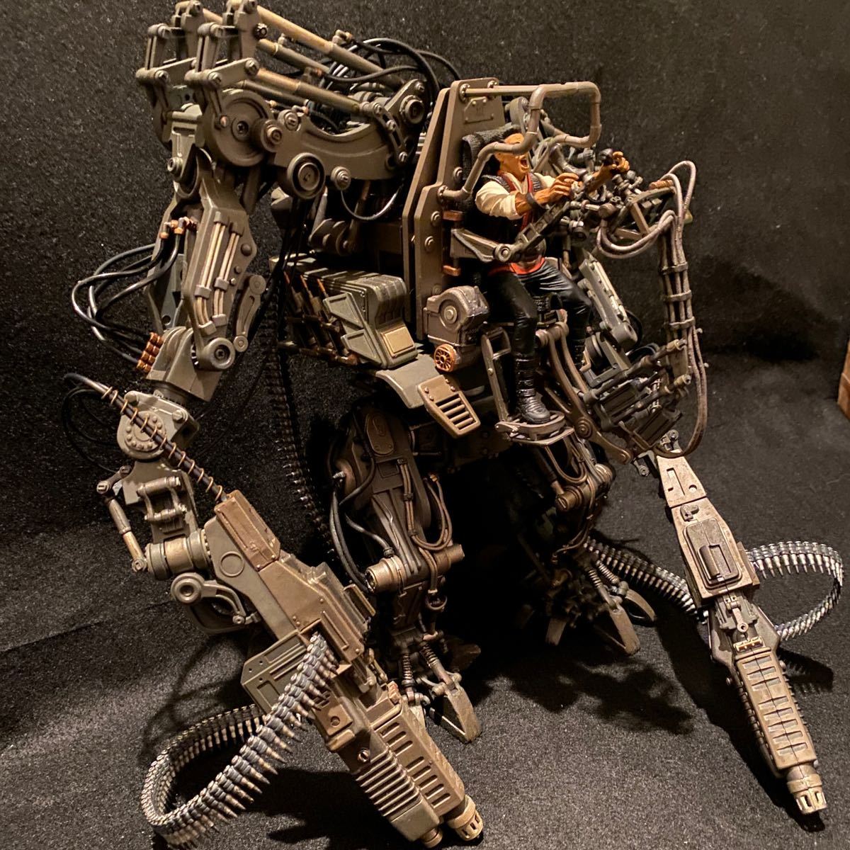 買い取り 艦長さん専用マトリックス SENTINEL(マクファーレントイズ製