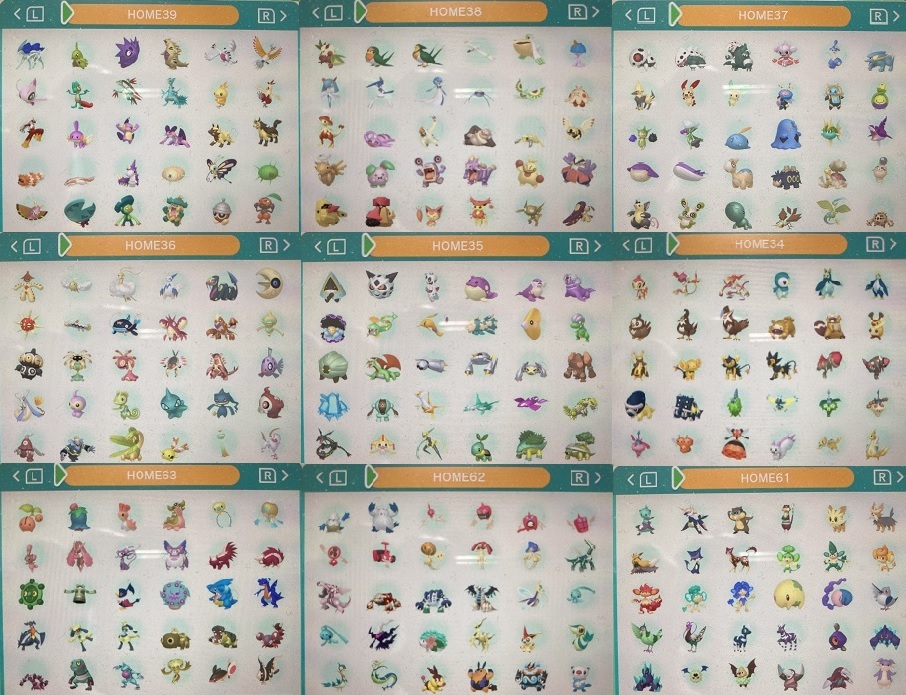 ポケットモンスター サン 全8種全国図鑑完成 色違いザシアン ザマゼンタ ザルード 色違いゼラオラ ソード シールド Crialgo Com Br ポケットモンスター サン 全8種全国図鑑完成 色違いザシアン ザマゼンタ ザルード 色違いゼラオラ ソード シールド Crialgo Com Br