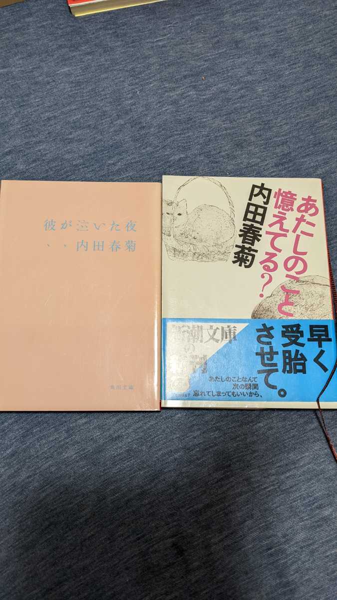 中古 小説 文庫 本 内田春菊 角川文庫 新潮文庫 シリーズ 彼が泣いた夜 あたしのこと憶えてる？_画像1