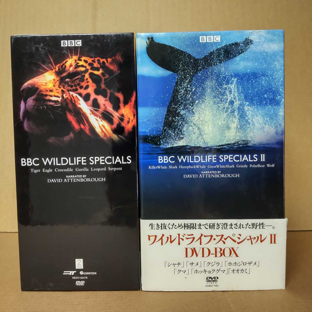 BBC ワイルド・ライフ スペシャル DVD BOX(品) | www.ddechuquisaca.gob.bo