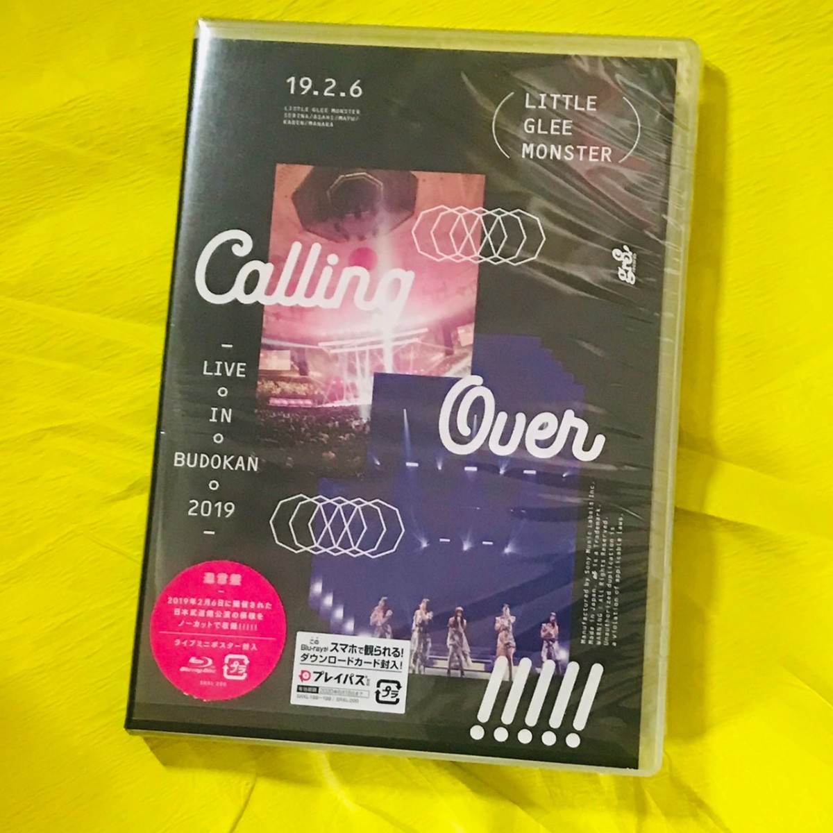 リトグリ 武道館 Calling Over ツアー BD 通常|PayPayフリマ