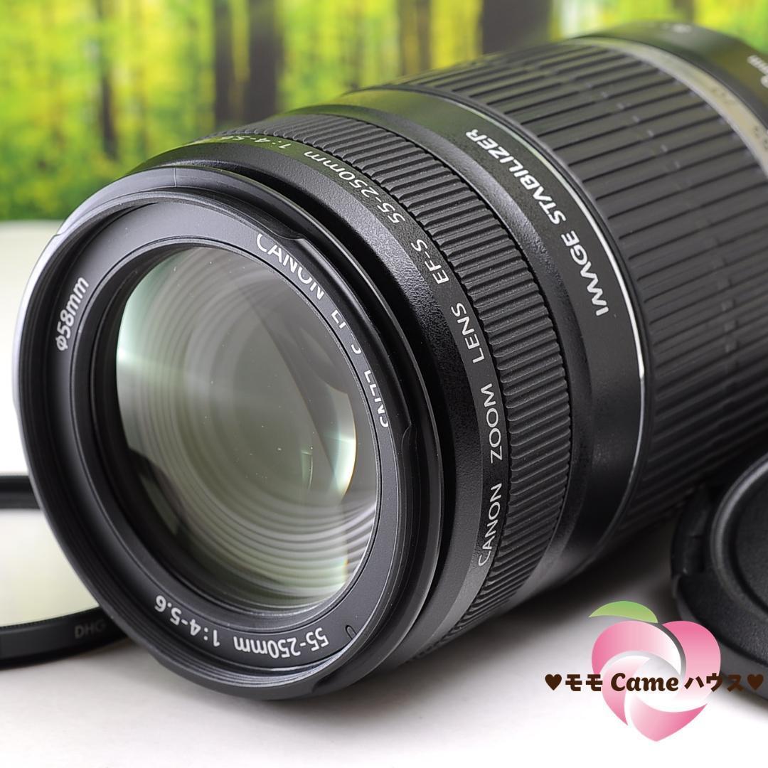 Canon EF-S 55-250mm☆手ブレ補正つき望遠レンズ☆3065-1