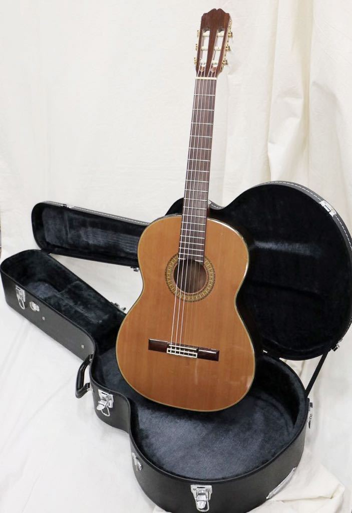 通販限定 takamine takamine エレガットギター PT-307 PT-307
