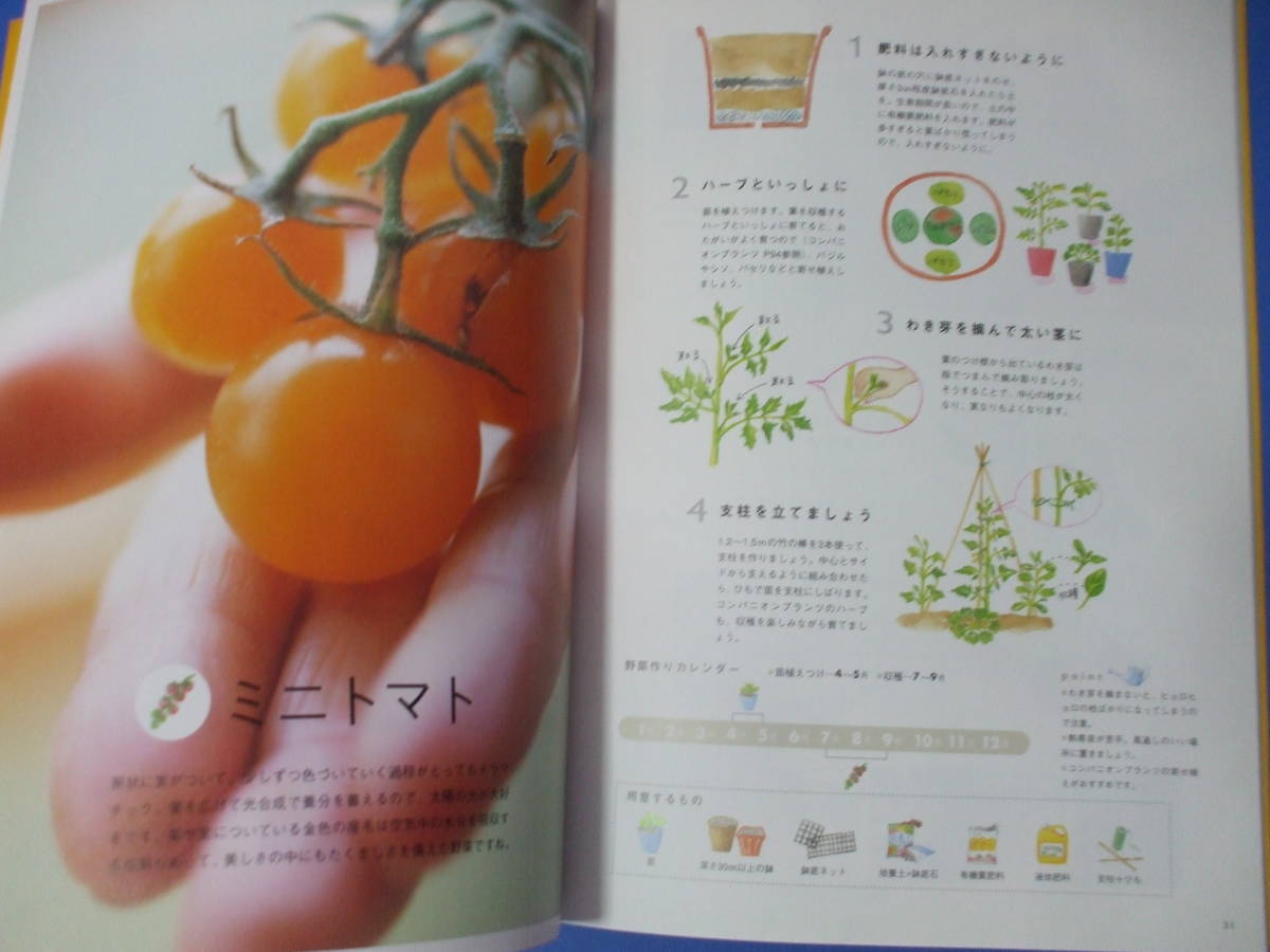 ★ミニ野菜キッチンガーデニング★小さな野菜を作る楽しみ食べる幸せ！_画像7