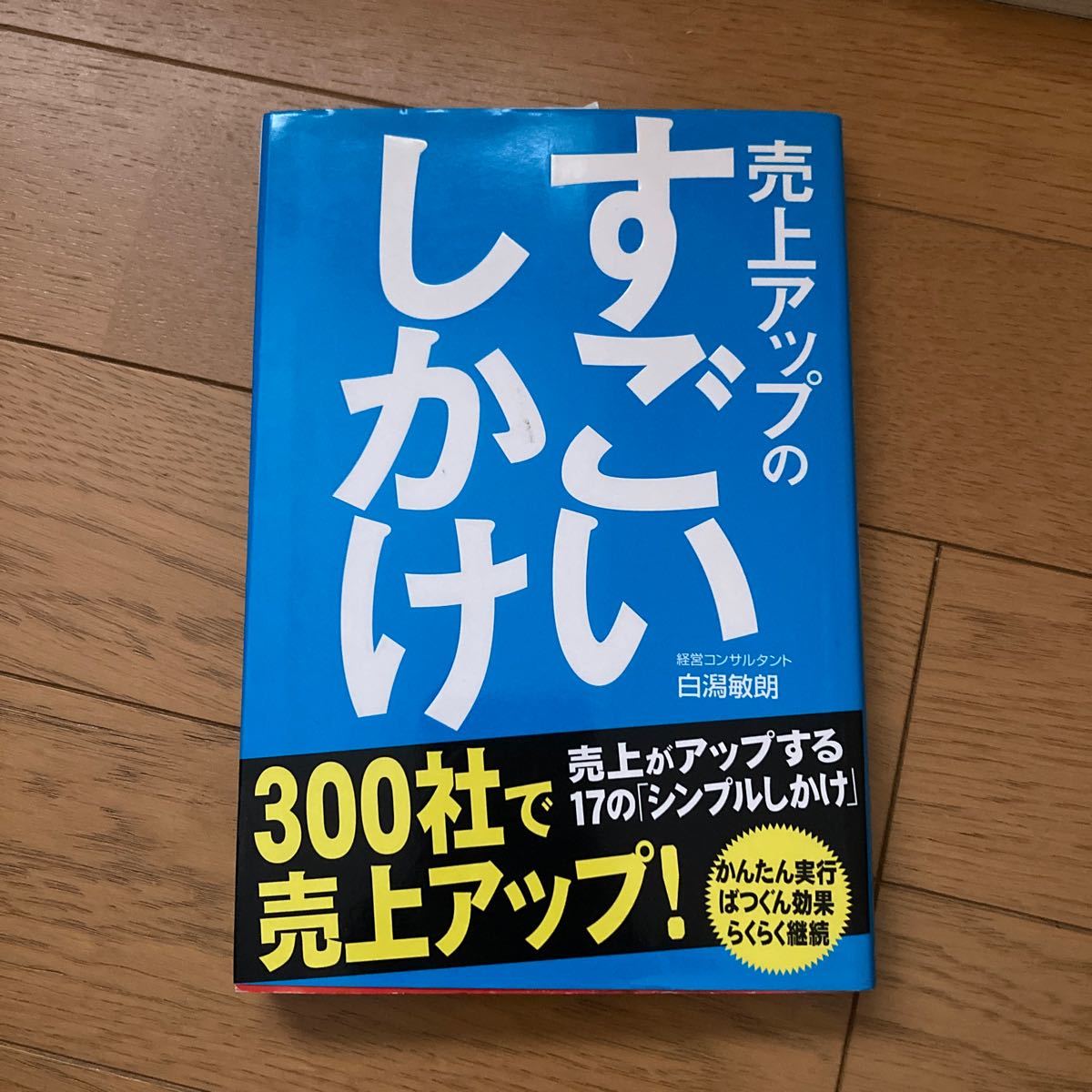 売上アップのすごいしかけ　売上がアップする１７の「シンプルしかけ」 白潟敏朗／著