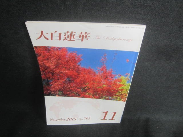 大白蓮華　2015.11　シミ日焼け有/EBF_画像1