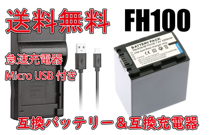 送料無料 バッテリー＆充電器 SONY ソニー 急速充電器 NP-FH100 Micro USB付き AC充電対応 シガライター充電対応 互換品_画像1