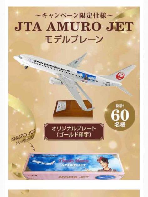 当選品 非売品 安室奈美恵 アムロジェット ANA モデルプレーン amuro