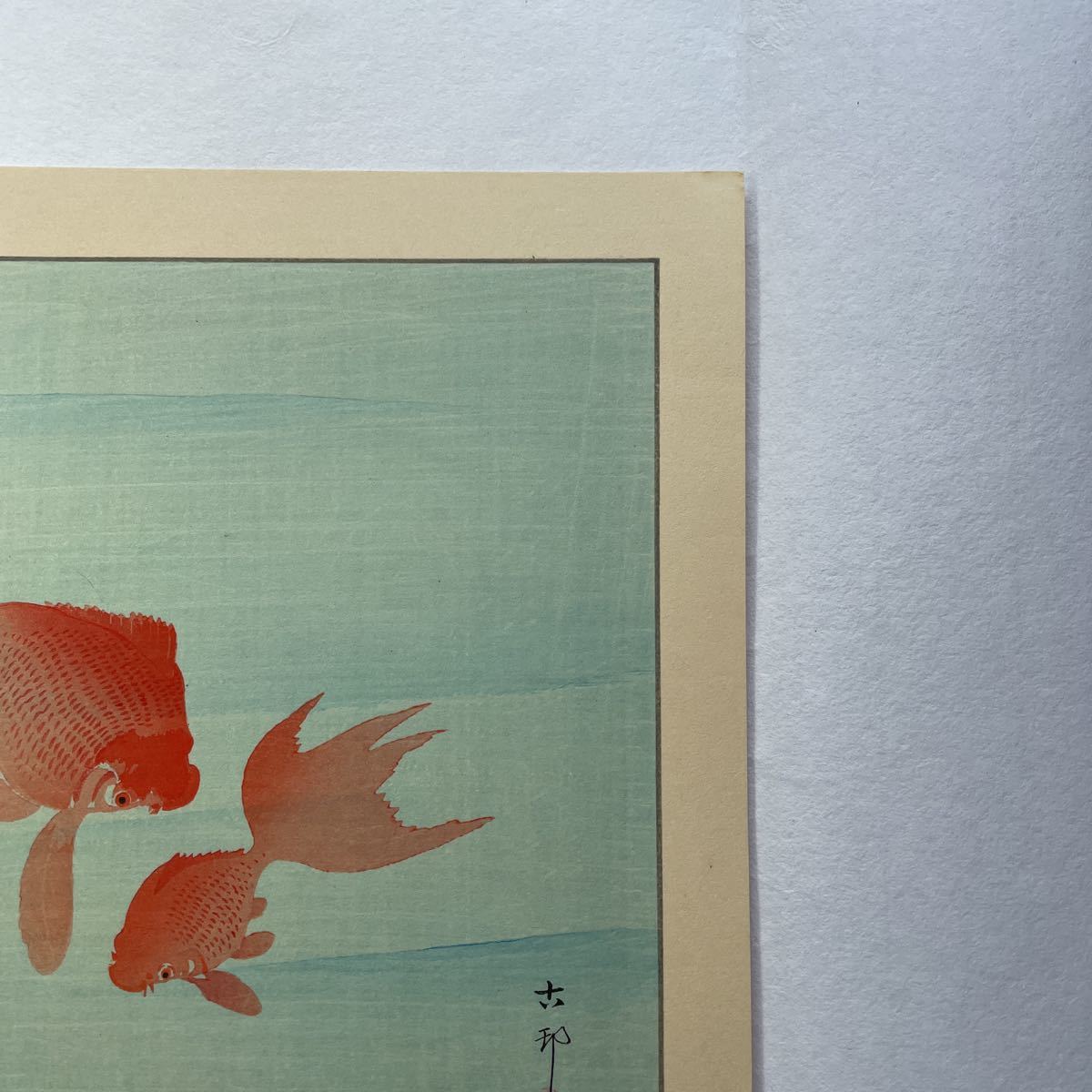 即決！真作 小原古邨(祥邨)金魚の木版画(検索＝新版画 魚類 大野麦風