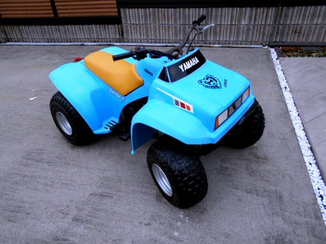 始動確認済 ヤマハ YAMAHA YF60 4ZINGER バギー lacabrasalvaje.com.mx