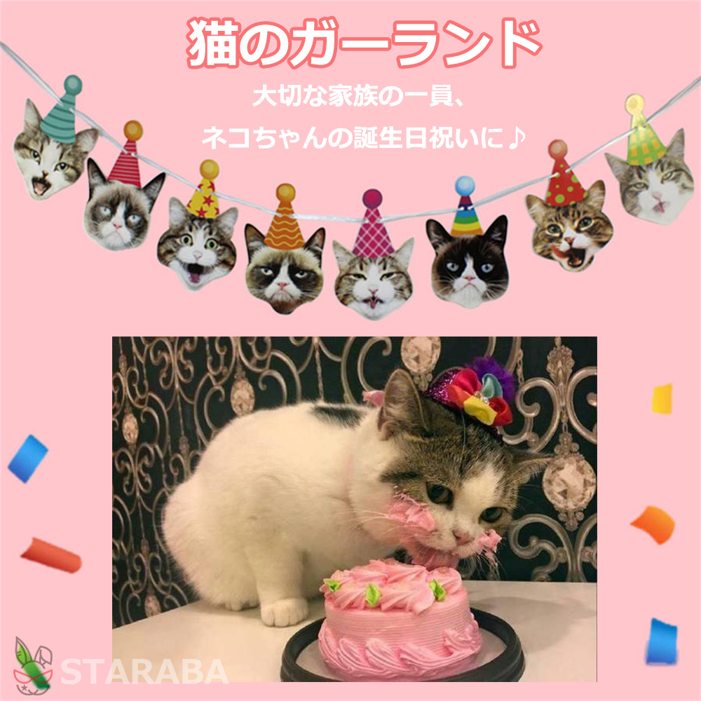  cat for . birthday Galland birthday cat cat birthday cat for lovely stylish pet cat Chan for memory day birthday cord attaching free shipping 