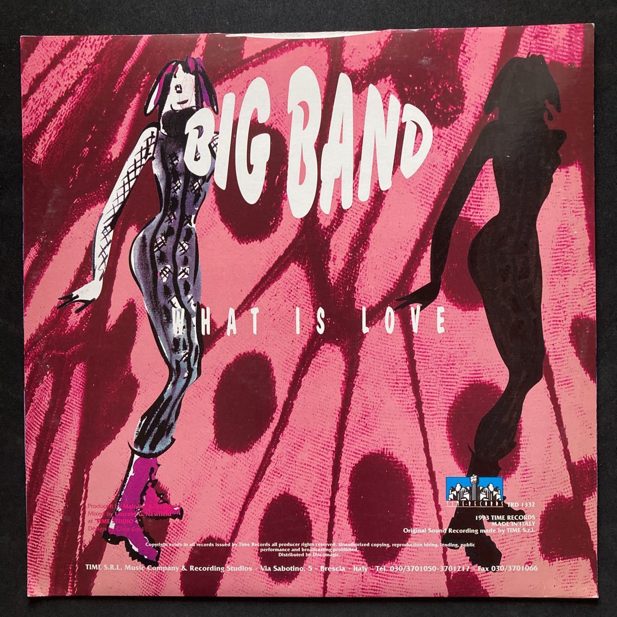 12inch BIG BAND / WHAT IS LOVE_画像2