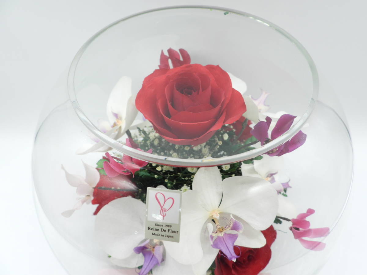  Len te flow ruReine De Fleur hand made dry flower preserved flower height 21cn about Mother's Day present 