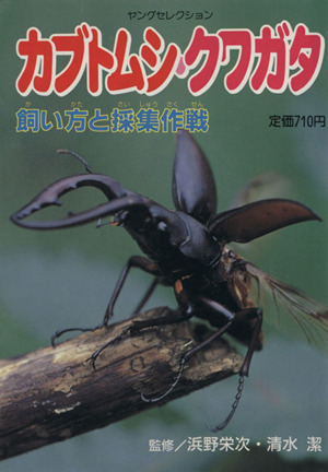  rhinoceros beetle * stag beetle | real industry . day head office ( author ),.. britain next ( author )
