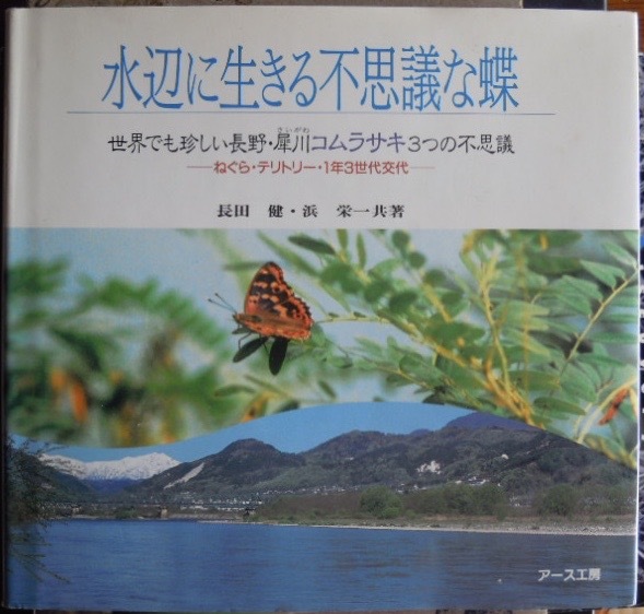 水辺に生きる不思議な蝶　世界でも珍しい長野・犀川コムラサキ3つの不思議 ねぐら・テリトリー・1年3世代交代　　長田健　浜栄一c_画像1