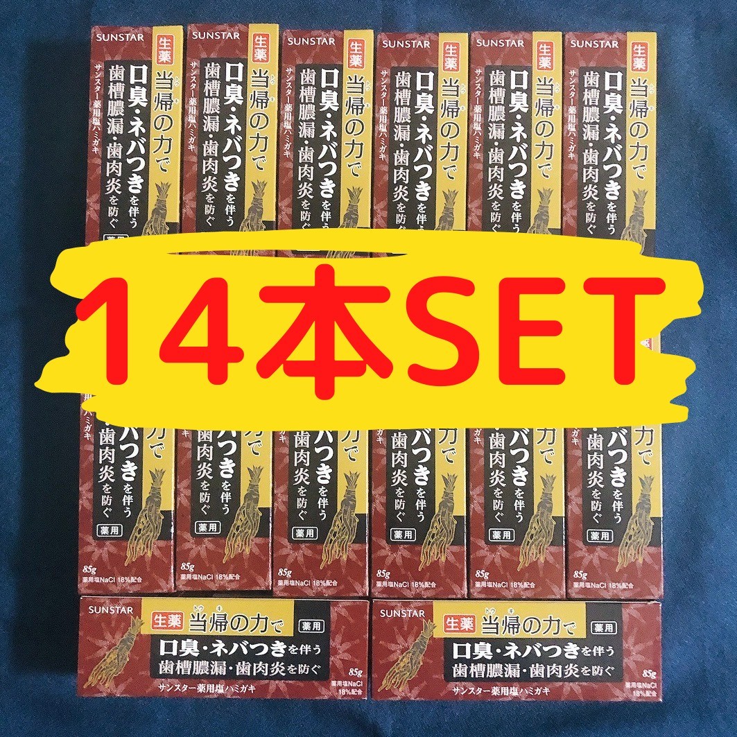 【お得14本Set】薬用塩ハミガキ 当帰の力 サンスター 85g
