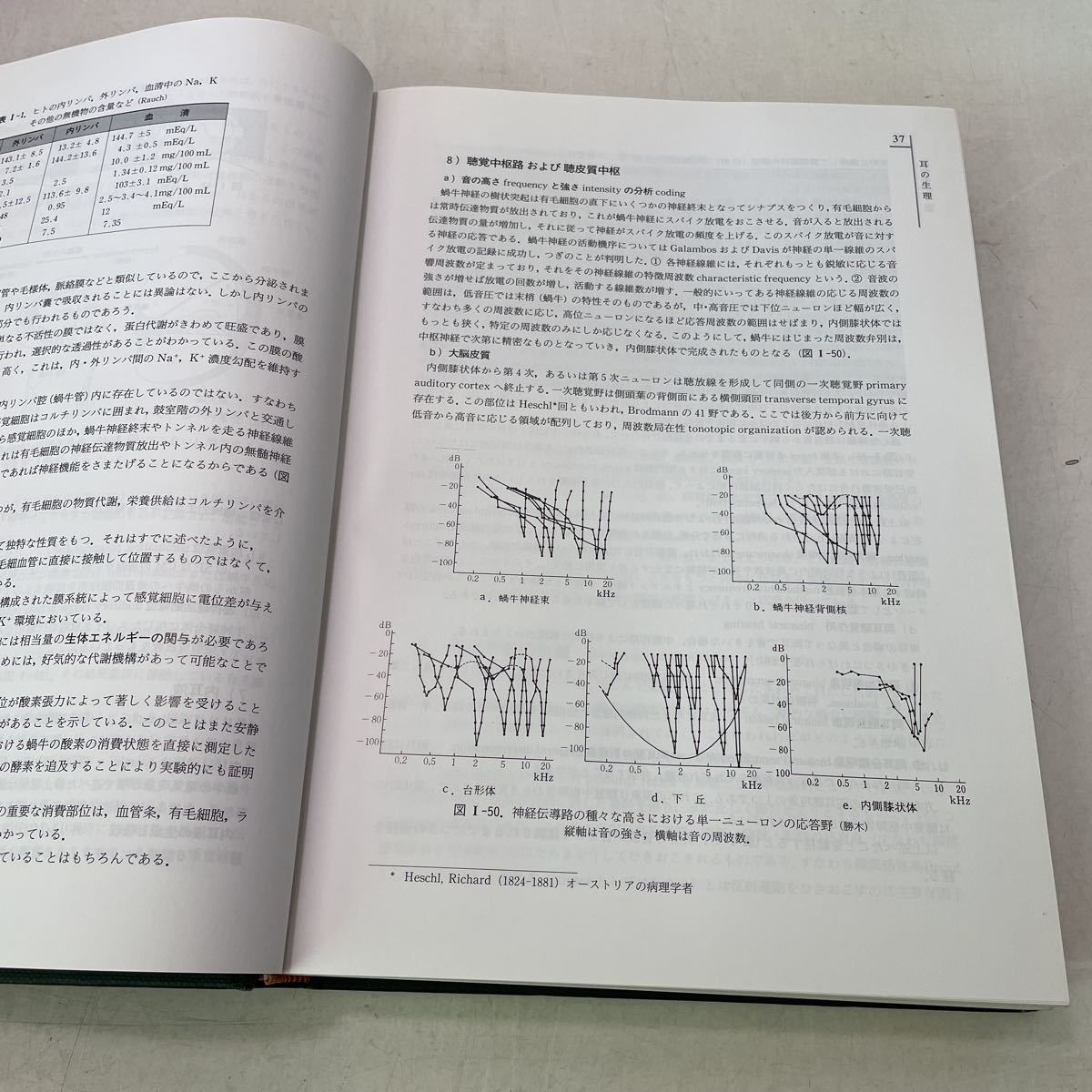 220910★D13★新耳鼻咽喉科学 切替一郎 野村恭也 改訂10版 南山堂 2004年発行_画像6