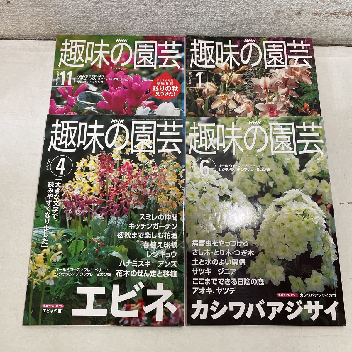 220924★C12★NHK趣味の園芸テキスト 1998年〜2004年 不揃い19冊セット★園芸 畑 ガーデニング_画像6