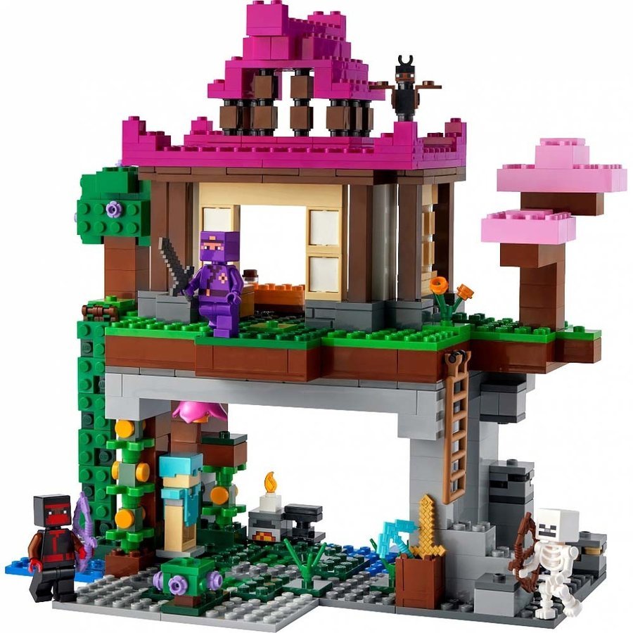 新品未開封 レゴ 21183 マインクラフト 訓練場 LEGO MINECRAFT The Training Grounds ローグ 忍者 スケルトン 同梱可 宅急便 送料950円~