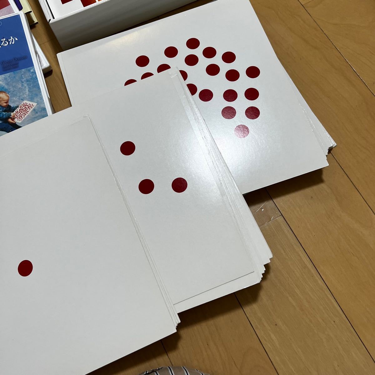 家庭保育園 ドーマン博士のドッツカード一式 本3冊 DVD2枚 他 家庭保育園 ドーマン博士のドッツカード一式 本3冊 DVD2枚 他