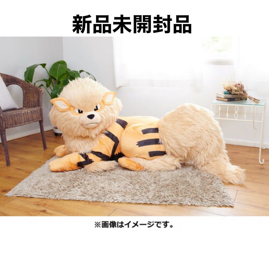 Yahoo!オークション - ポケモンセンター限定 ポケモン ビッグ Yahoo!オークション - ポケモンセンター限定 ポケモン ビッグ